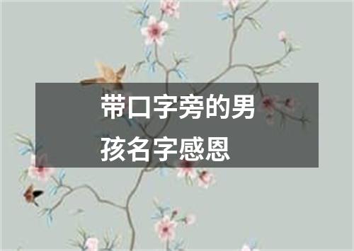 带口字旁的男孩名字感恩