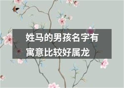 姓马的男孩名字有寓意比较好属龙