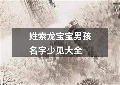 姓索龙宝宝男孩名字少见大全