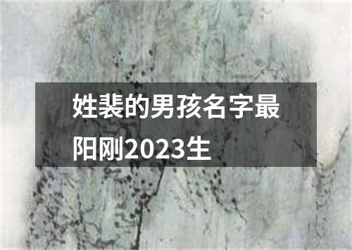 姓裴的男孩名字最阳刚2023生