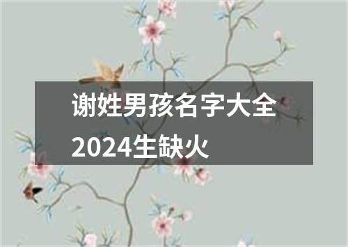 谢姓男孩名字大全2024生缺火