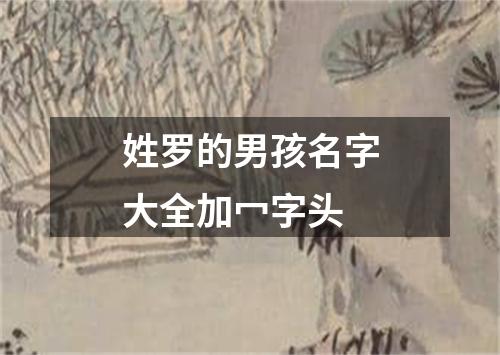 姓罗的男孩名字大全加冖字头