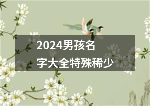 2024男孩名字大全特殊稀少