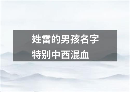 姓雷的男孩名字特别中西混血