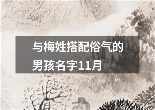 与梅姓搭配俗气的男孩名字11月