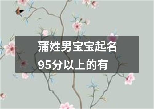 蒲姓男宝宝起名95分以上的有