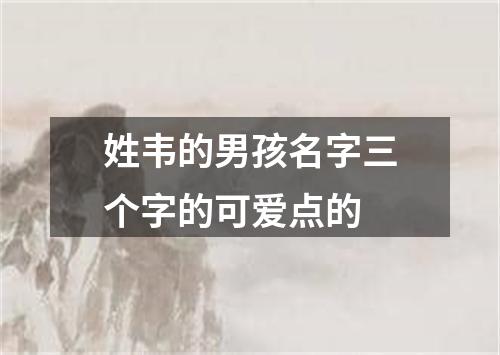 姓韦的男孩名字三个字的可爱点的