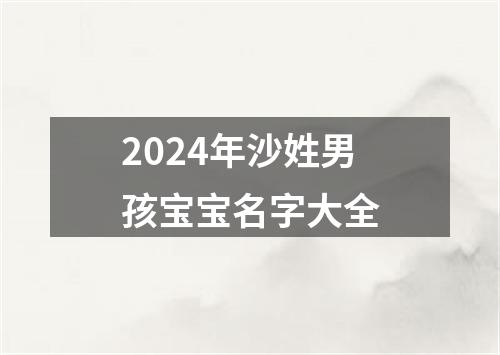 2024年沙姓男孩宝宝名字大全