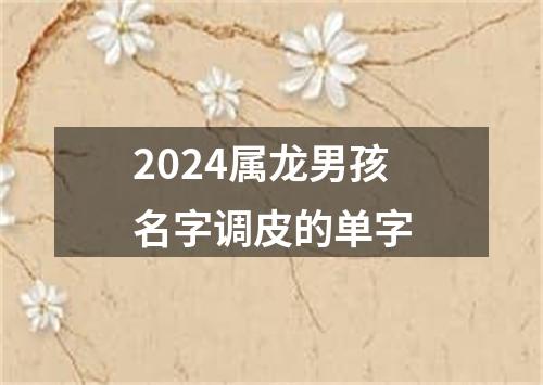 2024属龙男孩名字调皮的单字