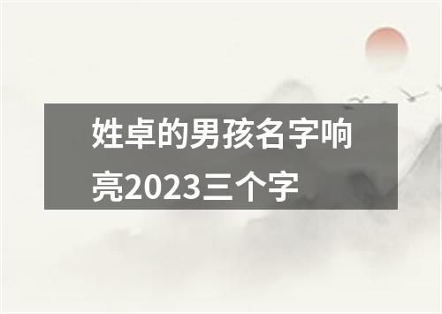 姓卓的男孩名字响亮2023三个字