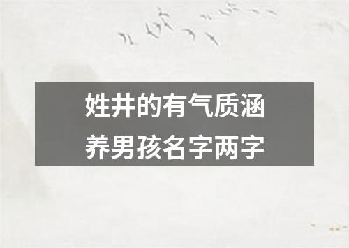 姓井的有气质涵养男孩名字两字