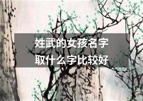 姓武的女孩名字取什么字比较好