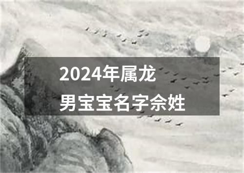 2024年属龙男宝宝名字佘姓