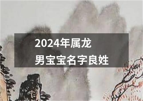 2024年属龙男宝宝名字良姓