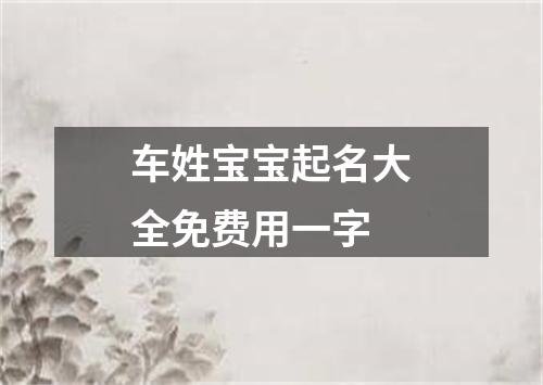 车姓宝宝起名大全免费用一字