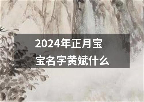 2024年正月宝宝名字黄斌什么