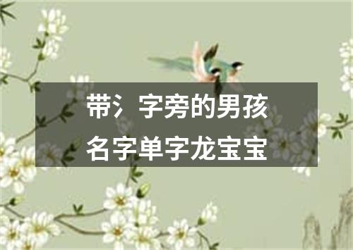 带氵字旁的男孩名字单字龙宝宝