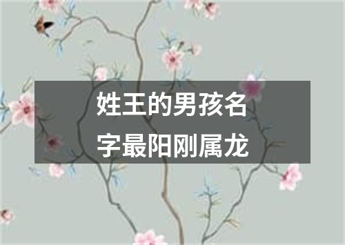 姓王的男孩名字最阳刚属龙