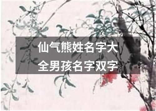 仙气熊姓名字大全男孩名字双字