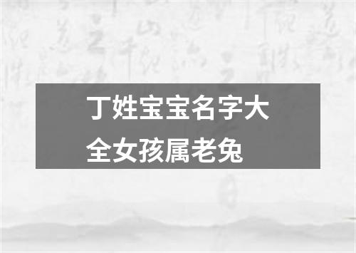 丁姓宝宝名字大全女孩属老兔