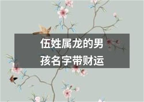 伍姓属龙的男孩名字带财运