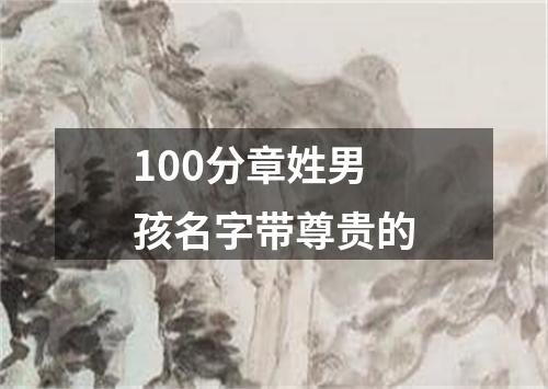 100分章姓男孩名字带尊贵的