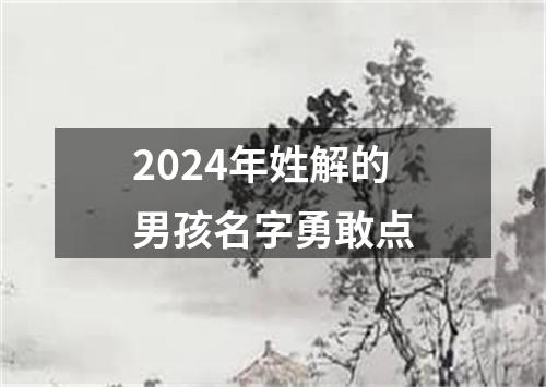 2024年姓解的男孩名字勇敢点