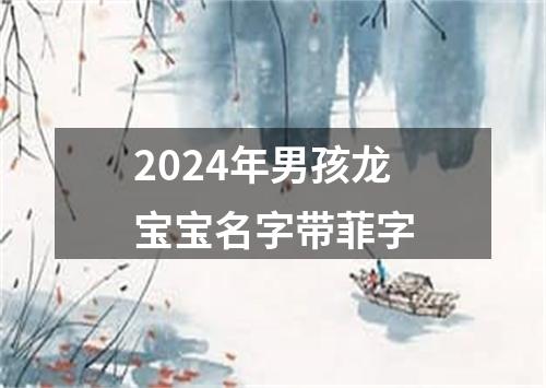 2024年男孩龙宝宝名字带菲字