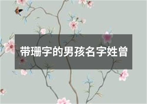 带珊字的男孩名字姓曾