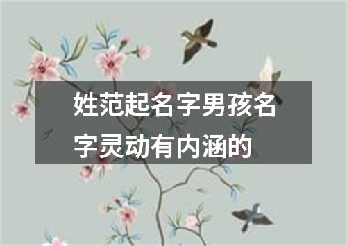 姓范起名字男孩名字灵动有内涵的