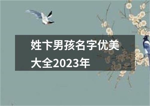 姓卞男孩名字优美大全2023年