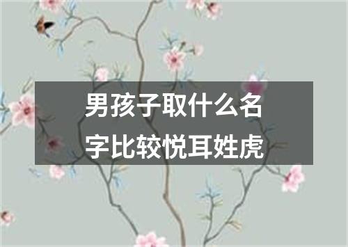 男孩子取什么名字比较悦耳姓虎