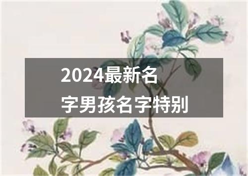 2024最新名字男孩名字特别