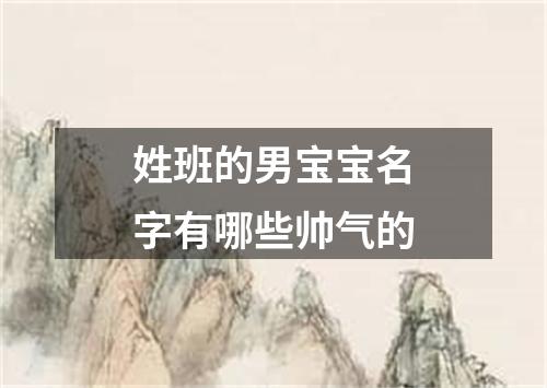 姓班的男宝宝名字有哪些帅气的