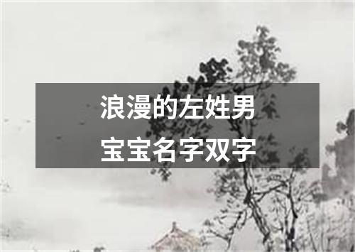 浪漫的左姓男宝宝名字双字