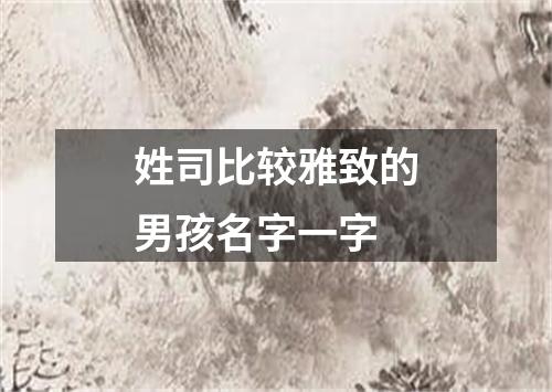 姓司比较雅致的男孩名字一字