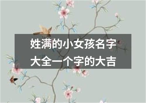 姓满的小女孩名字大全一个字的大吉