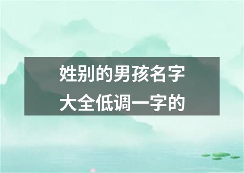 姓别的男孩名字大全低调一字的