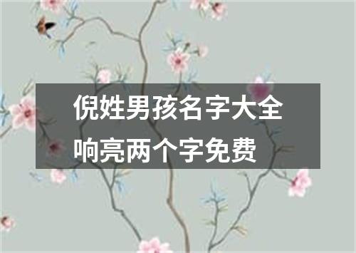 倪姓男孩名字大全响亮两个字免费