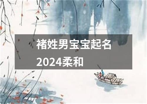 褚姓男宝宝起名2024柔和