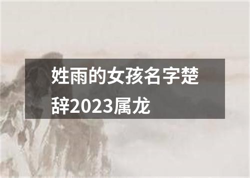 姓雨的女孩名字楚辞2023属龙