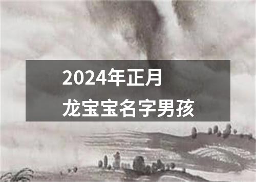 2024年正月龙宝宝名字男孩