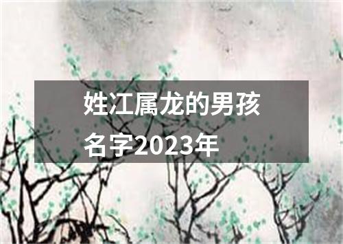 姓冮属龙的男孩名字2023年