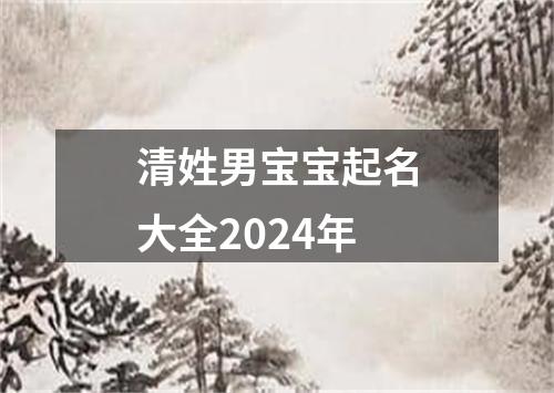 清姓男宝宝起名大全2024年