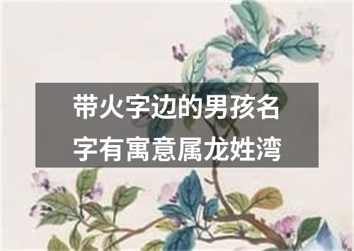 带火字边的男孩名字有寓意属龙姓湾