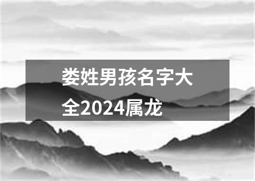 娄姓男孩名字大全2024属龙