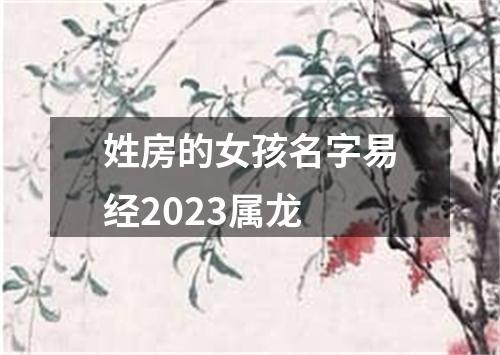 姓房的女孩名字易经2023属龙