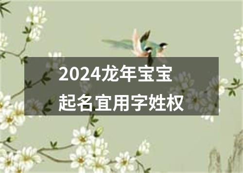 2024龙年宝宝起名宜用字姓权