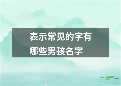 表示常见的字有哪些男孩名字