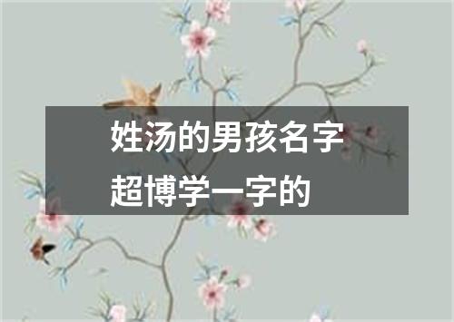 姓汤的男孩名字超博学一字的